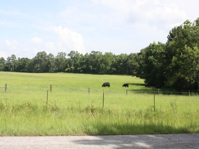 67 Acres : Saint Francisville : West Feliciana Parish : Louisiana