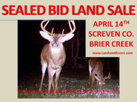 Sealed Bid Land Sale, April 14th : Sylvania : Screven County : Georgia