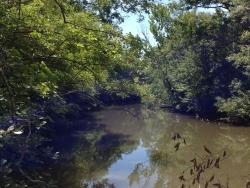 50+/- Acres On Sandy Creek : Dadeville : Tallapoosa County : Alabama