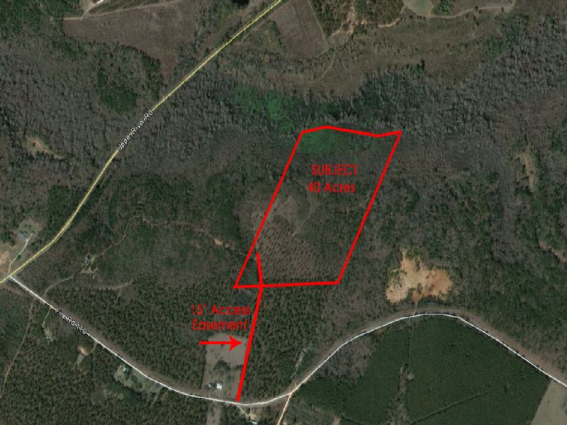 Hunting Property in The Heart Of Ga : Hawkinsville : Pulaski County : Georgia