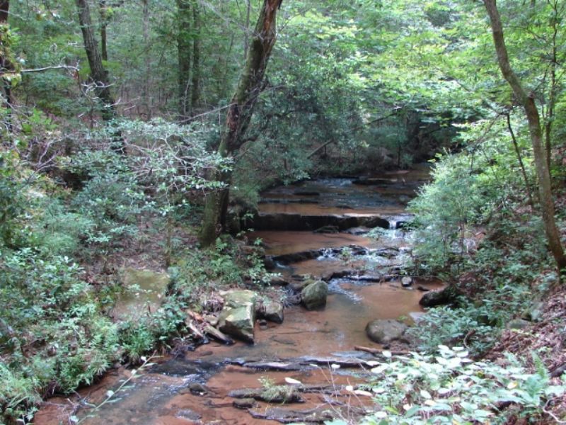 Waterfalls, Woods and Wildlife : Rockford : Coosa County : Alabama