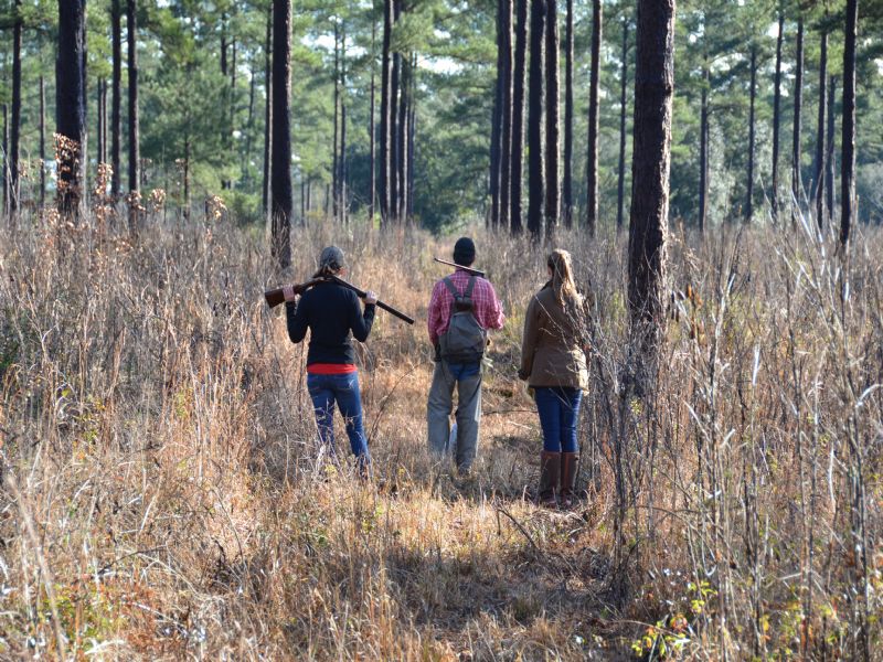 Arrow Head Lake Plantation : Quincy : Gadsden County : Florida