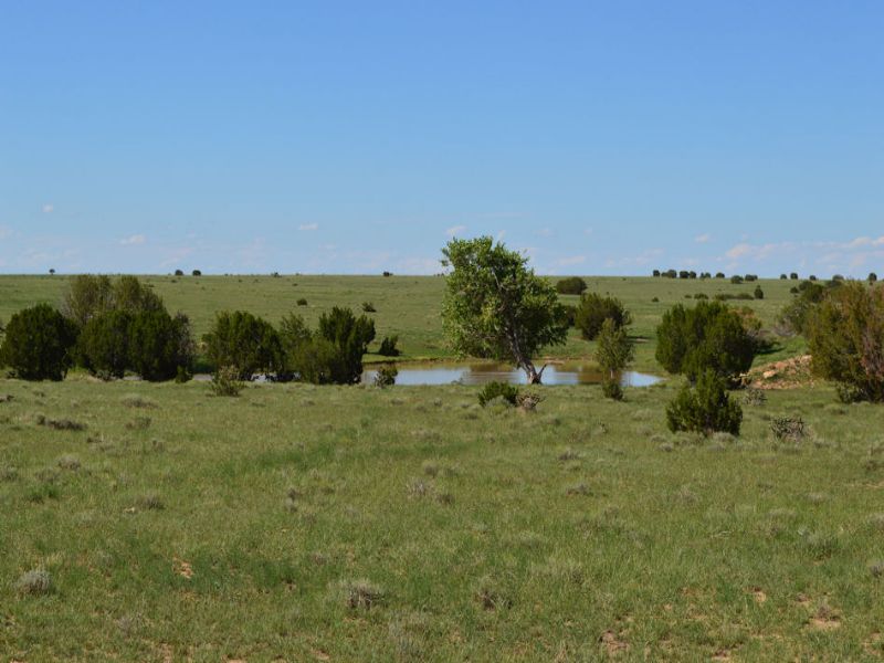 L & L Stone Ranch : Kim : Las Animas County : Colorado