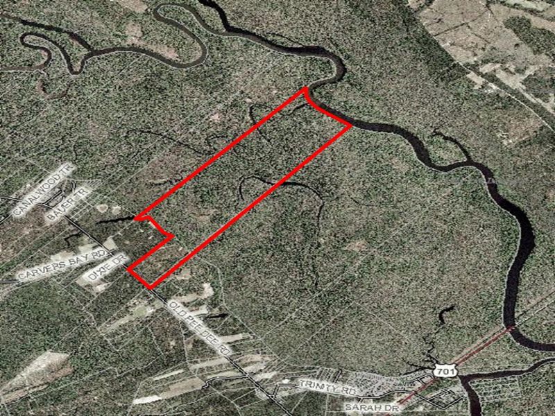 Bass Lake / D. V. Richardson : Georgetown : Georgetown County : South Carolina