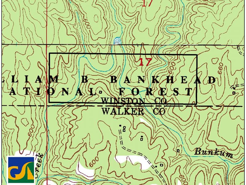 Bunkum Branch : Rosehill : Winston County : Alabama