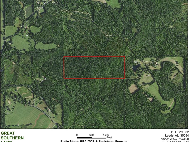 8-031 Carter Ridge Road : Cleveland : Blount County : Alabama