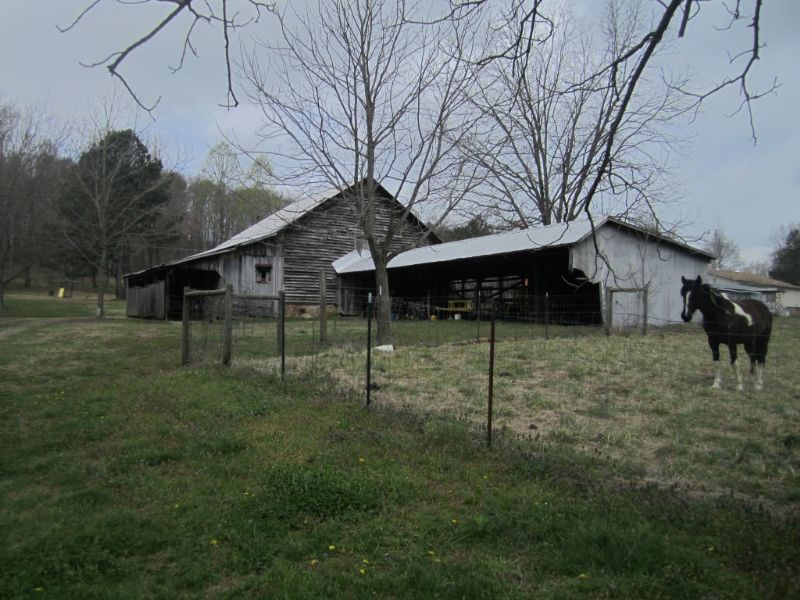 Seventy Six Acres Of Pasture Land : Vinemont : Cullman County : Alabama