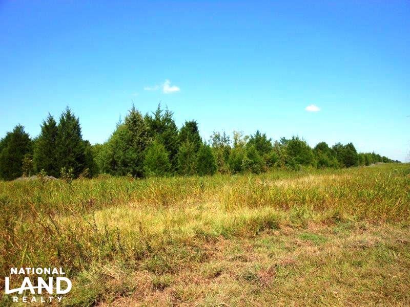 Recreational Investment : Montgomery : Lowndes County : Alabama