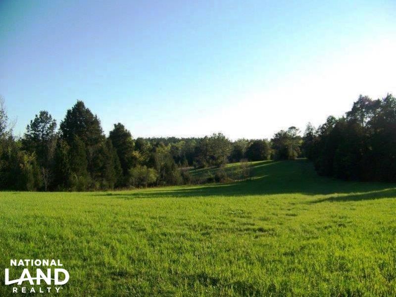 Recreational Timber Investment : Sardis : Lowndes County : Alabama