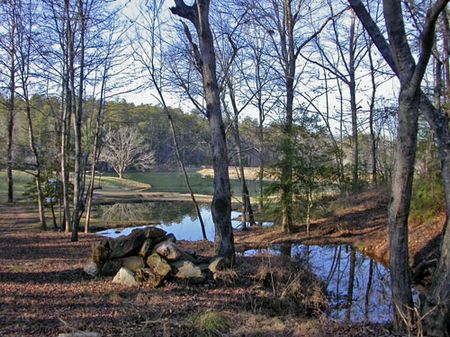 Double D Bar C Ranch : Blue Ridge : Fannin County : Georgia