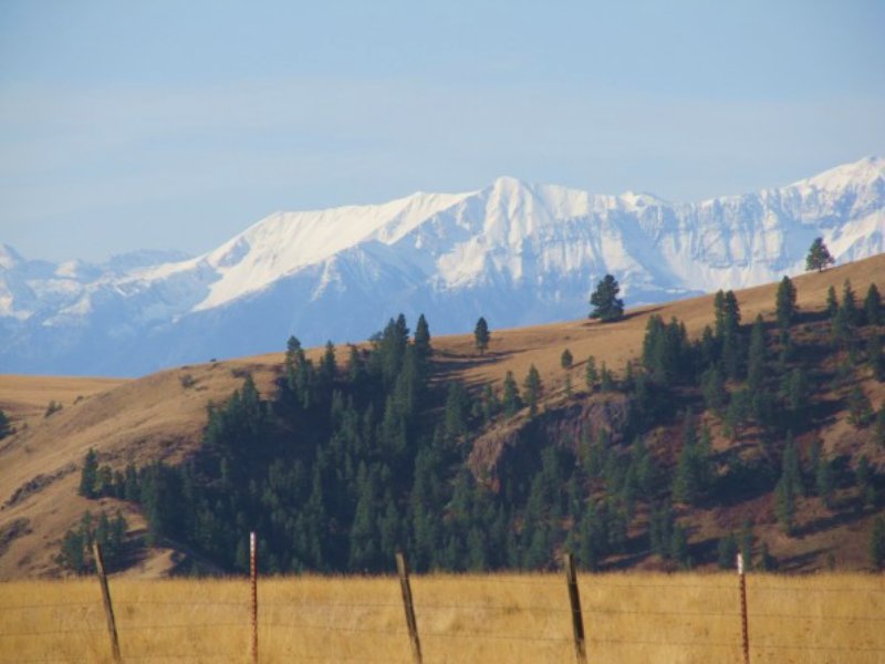 Pocket Ranch : Joseph : Wallowa County : Oregon