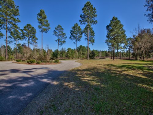Oldfields Plantation : Monticello : Jefferson County : Florida