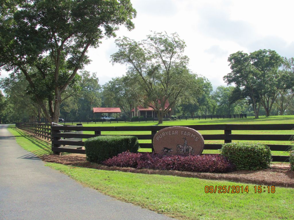 Custom Built Estate, Ranch for Sale in 81948 RANCHFLIP