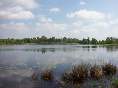 Pecan Bayou Ranch : Clarksville : Red River County : Texas