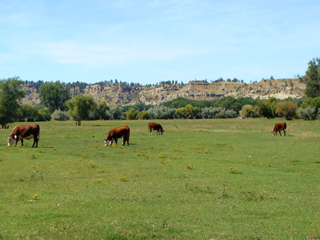 Pompeys Ranch On The Yellowstone, Ranch for Sale in Montana, 82131