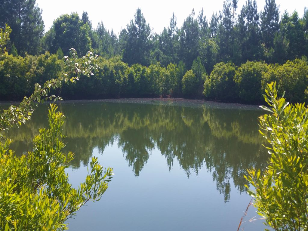 Hunting Land with A Pond, Ranch for Sale in 83234 RANCHFLIP