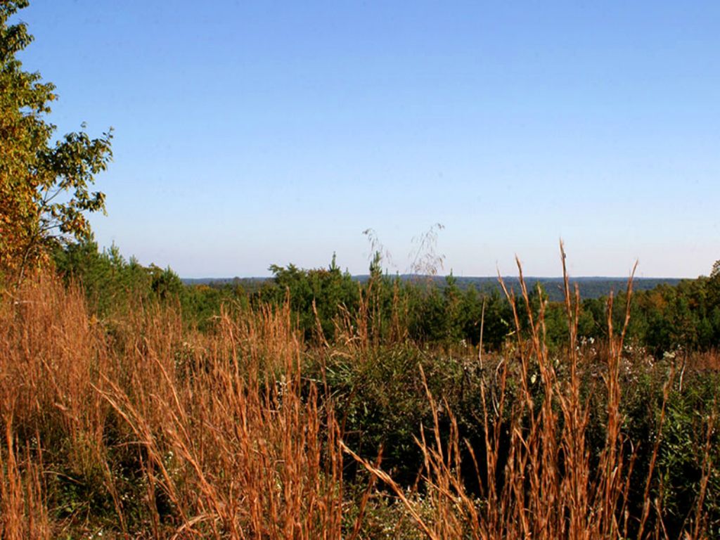 Signal: Land for Horses Or Minifarm : Signal Mountain : Sequatchie County : Tennessee