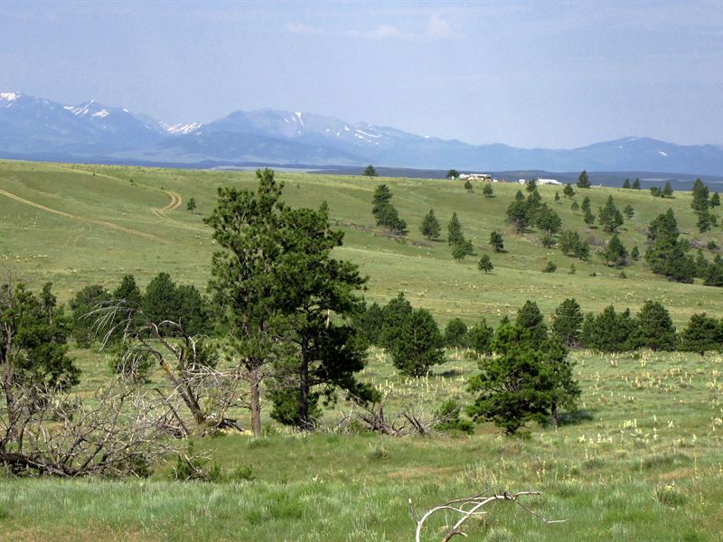 20 Acres with Great Mountain Views : Shawmut : Wheatland County : Montana