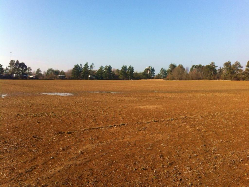 299 Acres : Brinkley : Monroe County : Arkansas