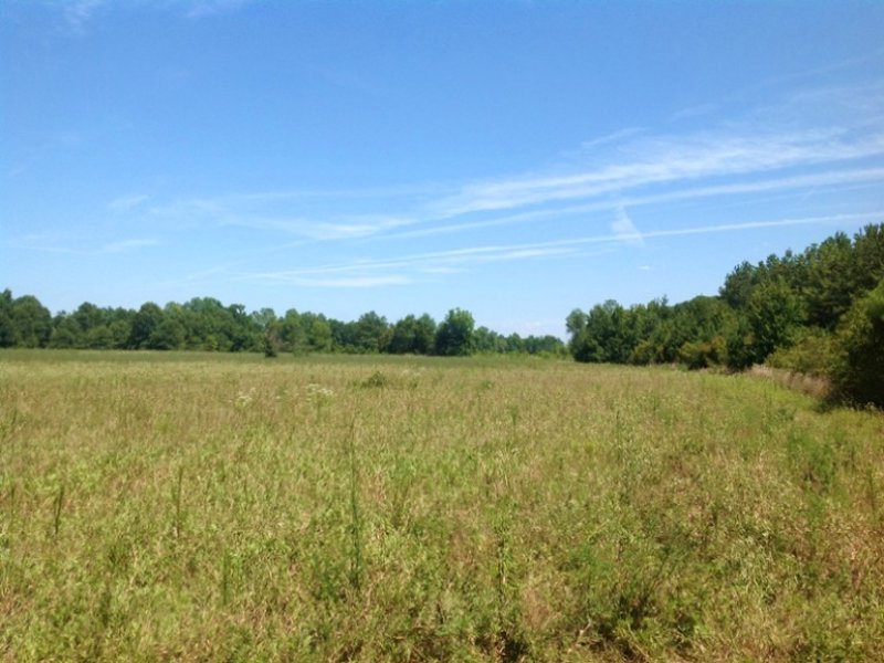 38 Acre Hunting Tract : Orrville : Dallas County : Alabama