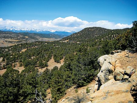 Wet Canyon Ranch : Weston : Las Animas County : Colorado