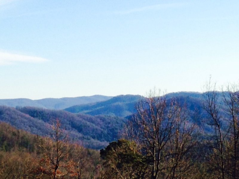 406.41 +/- Acres : Wilkesboro : Wilkes County : North Carolina
