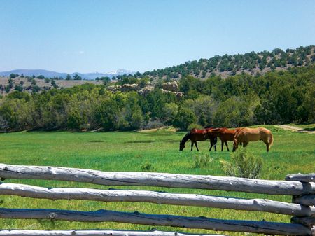 West Cedar Ranch : Cedar City : Iron County : Utah