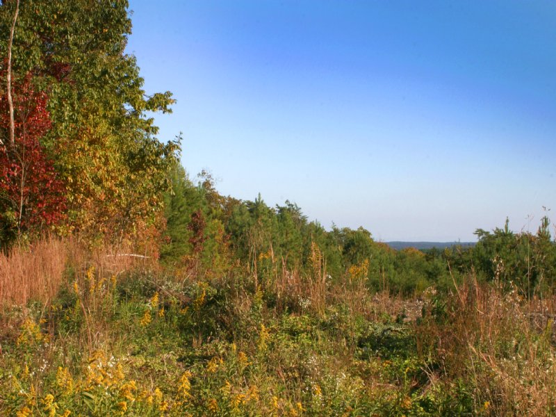 Signal: 25 Acres Unrestricted : Dunlap : Sequatchie County : Tennessee