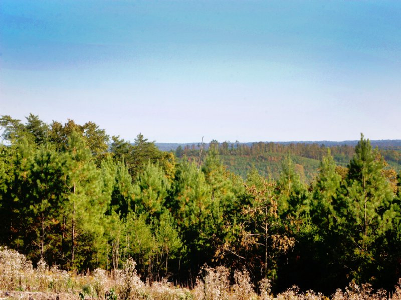 Signal: Large Mtn. Acreage : Dunlap : Sequatchie County : Tennessee