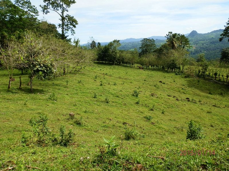 Mtn View 12.9 Ac Ranch, Springs : Santa Teresita De Turrialba : Costa Rica