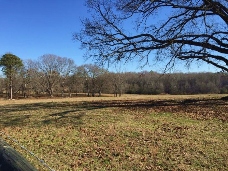 Rickenbaker Farm : Newnan : Coweta County : Georgia