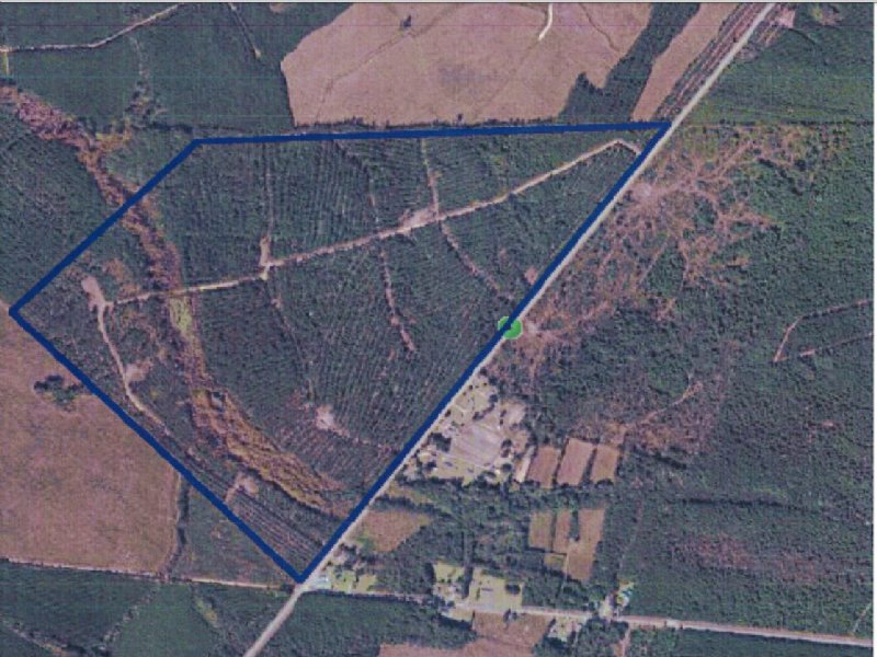 Planters Group : Georgetown : Horry County : South Carolina