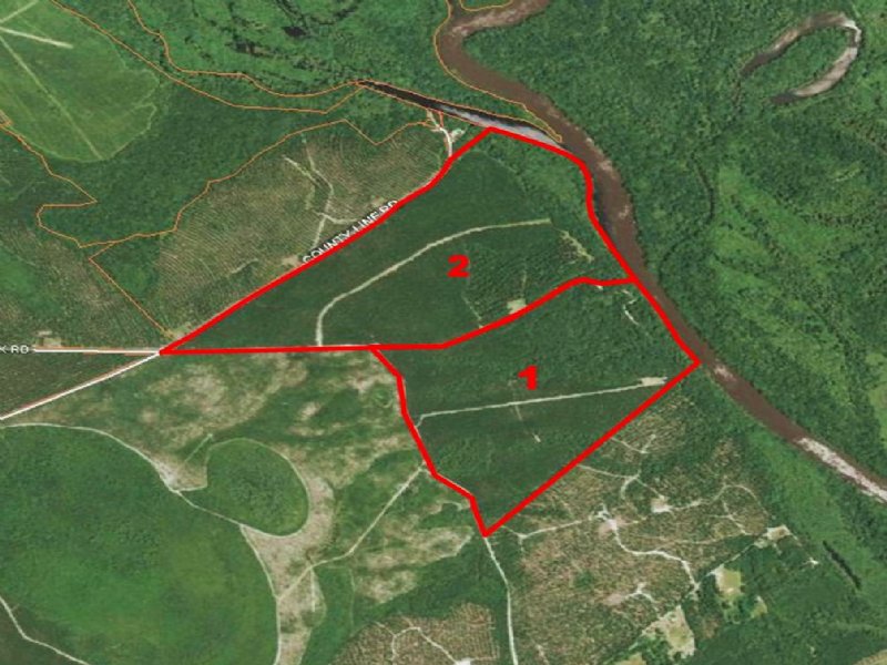Sawkee Bluff Tract : Hemingway : Florence County : South Carolina
