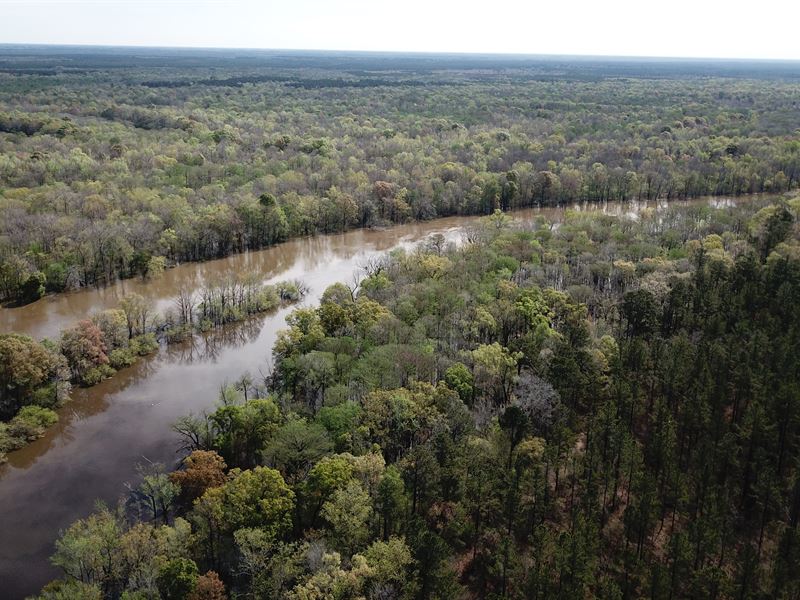 Sawkee Bluff Tract : Hemingway : Florence County : South Carolina