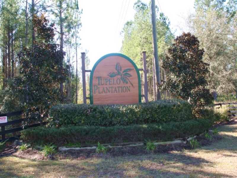 Tupelo Plantation Barn Owl Dr, Ranch for Sale in Florida, 85722