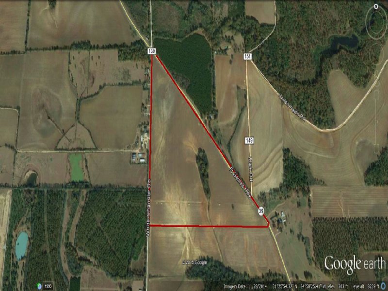 Beautiful 70 Acre Southwest Ga Farm : Blakely : Early County : Georgia