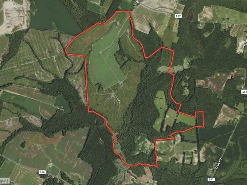 650 Acres of Farm : Suffolk : Suffolk County : Virginia