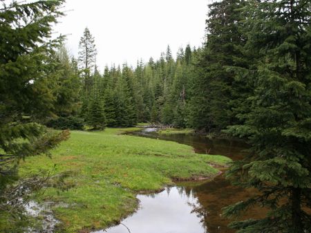 Government Mountain Ranch : Milton Freewater : Umatilla County : Oregon