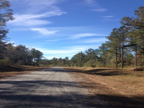 Carsley Farms 10 Acre Tract : Carsley : Surry County : Virginia