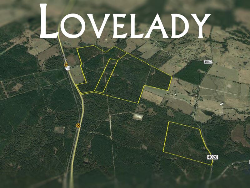 60 Ac CR 4020 : Crockett : Houston County : Texas