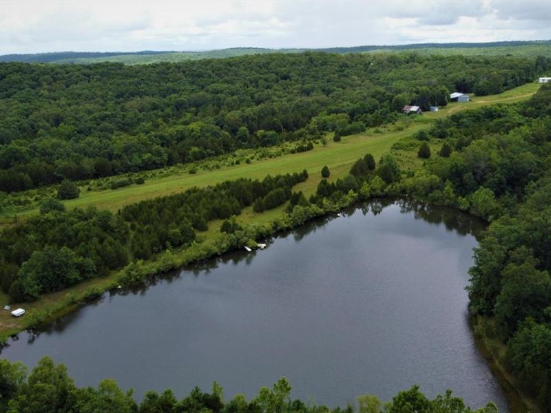 150 Acres for Sale in Gasconade Cou : Owensville : Gasconade County : Missouri