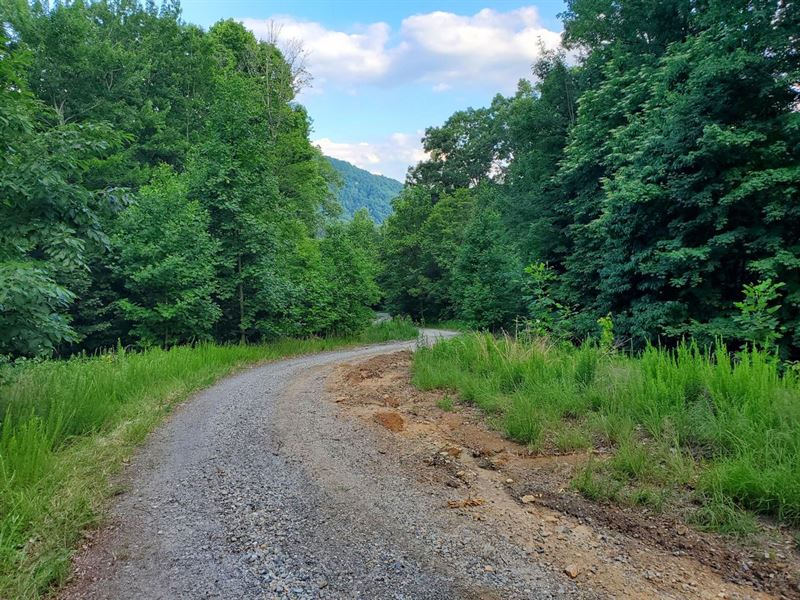 10.08 Acres Off Roca Vista, Leno : Lenoir : Caldwell County : North Carolina