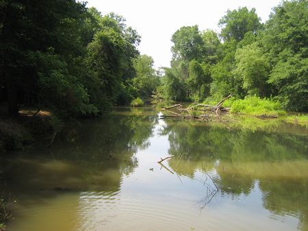 Reduced/river/lake Oconee Land : Greensboro : Greene County : Georgia