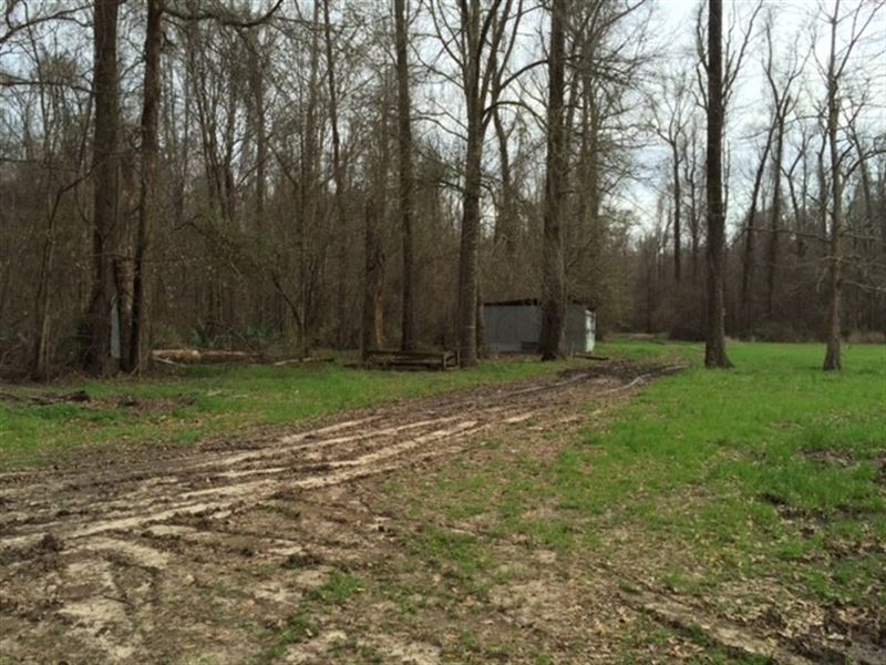 2.5 Ac, Hunting & Fishing Camp Ranch for Sale in Crowville, Madison