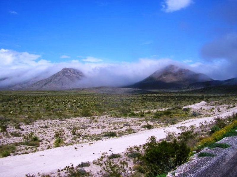 High Desert Cattle Ranch : Boquillas Del Carmen : Mexico