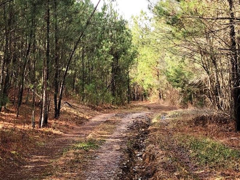 Adairsville Tract : Adairsville : Gordon County : Georgia