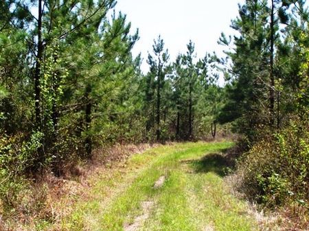 Tract 8978 : Elliott : Lee County : South Carolina