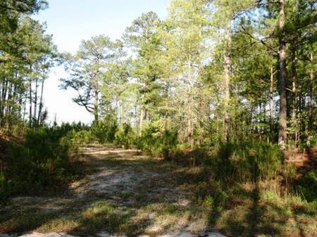 Tract 8933 : Kershaw : Kershaw County : South Carolina