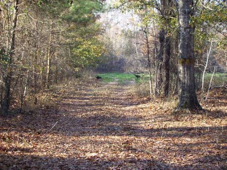 Beaux Eden Farms | River Tract : Fort Valley : Peach County : Georgia