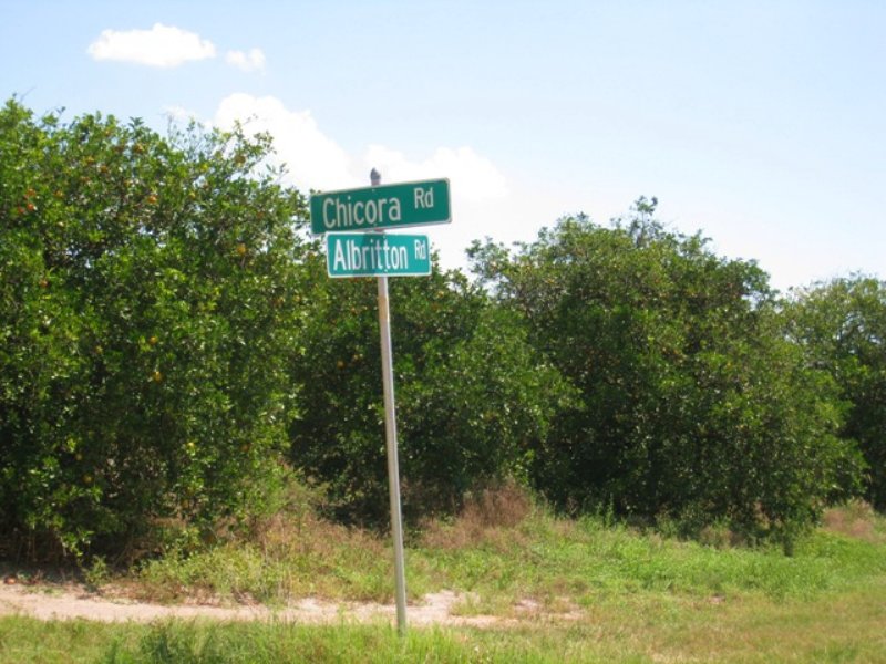 65 Acre Citrus-Streamsong Area : Mulberry : Polk County : Florida